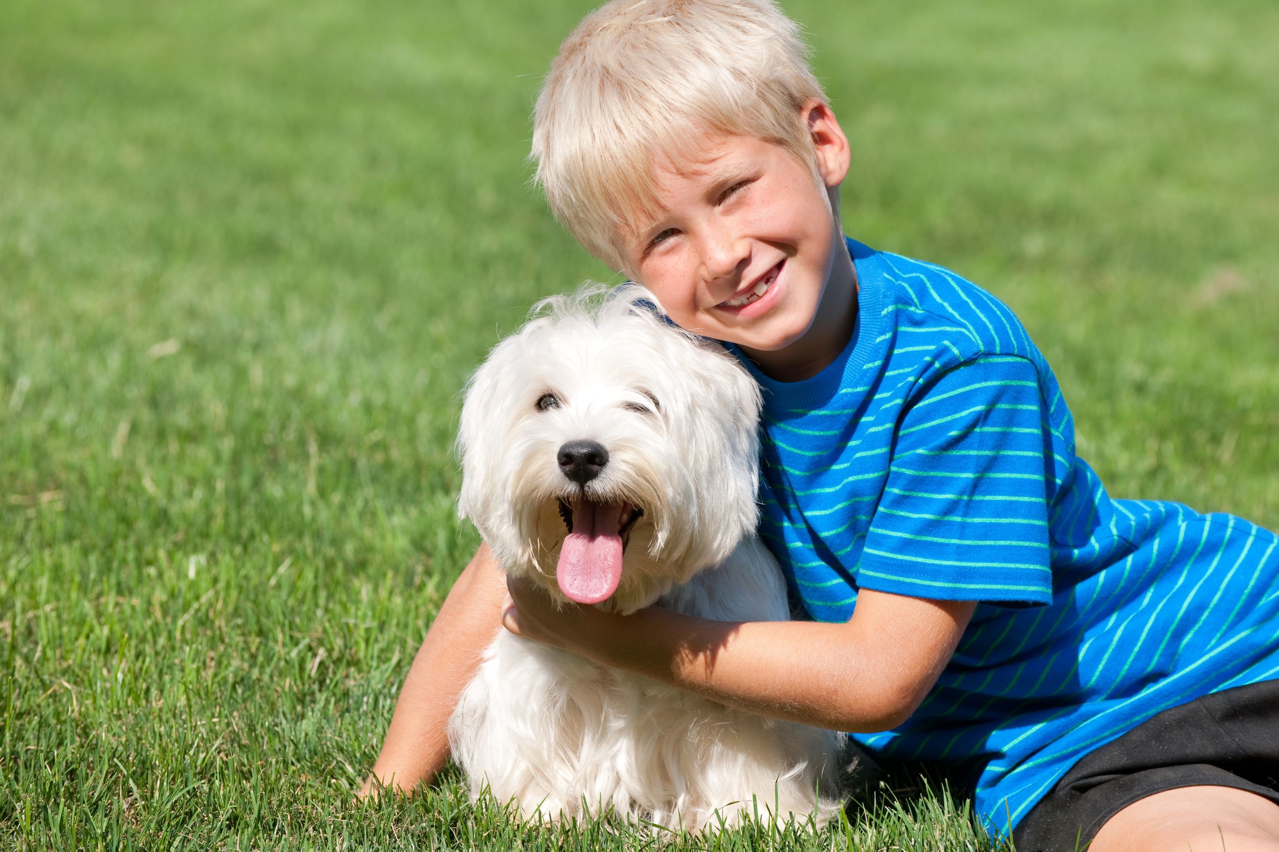 Pet Friendly