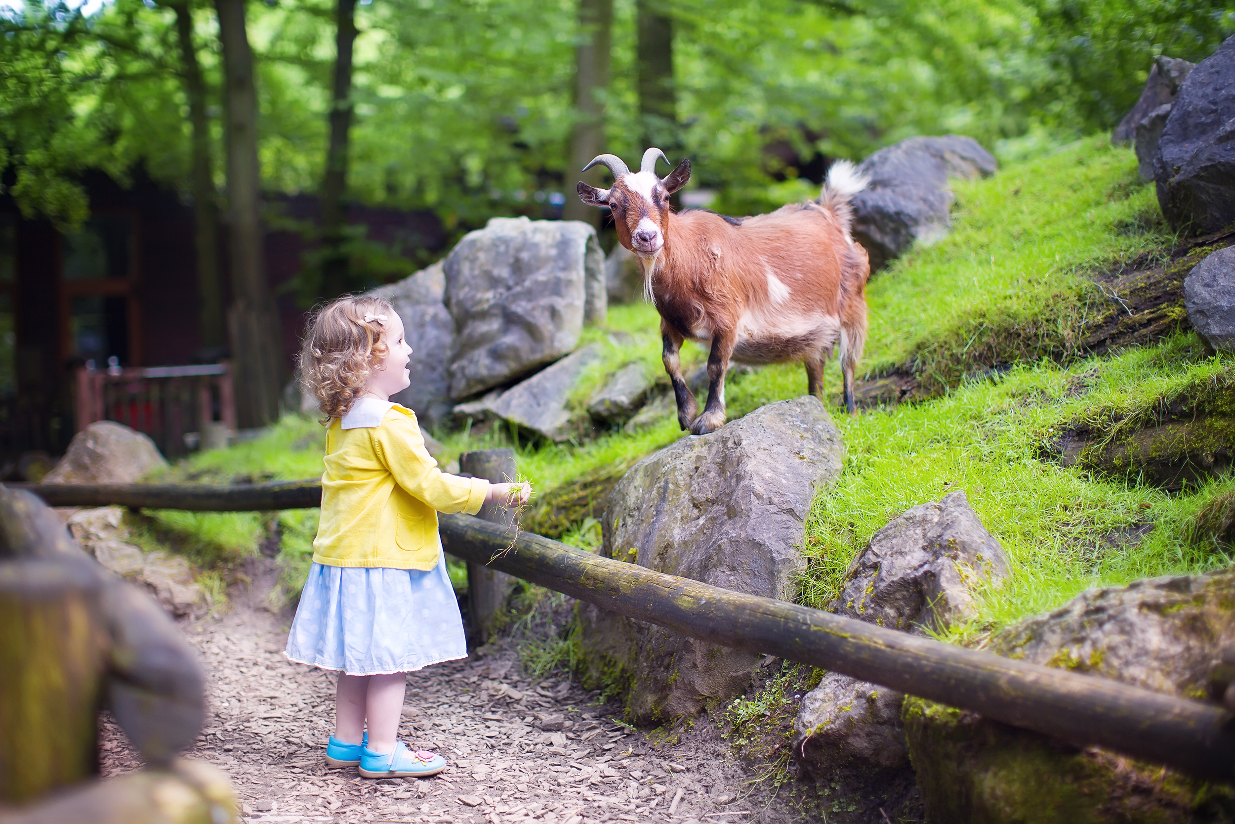 Local Attractions